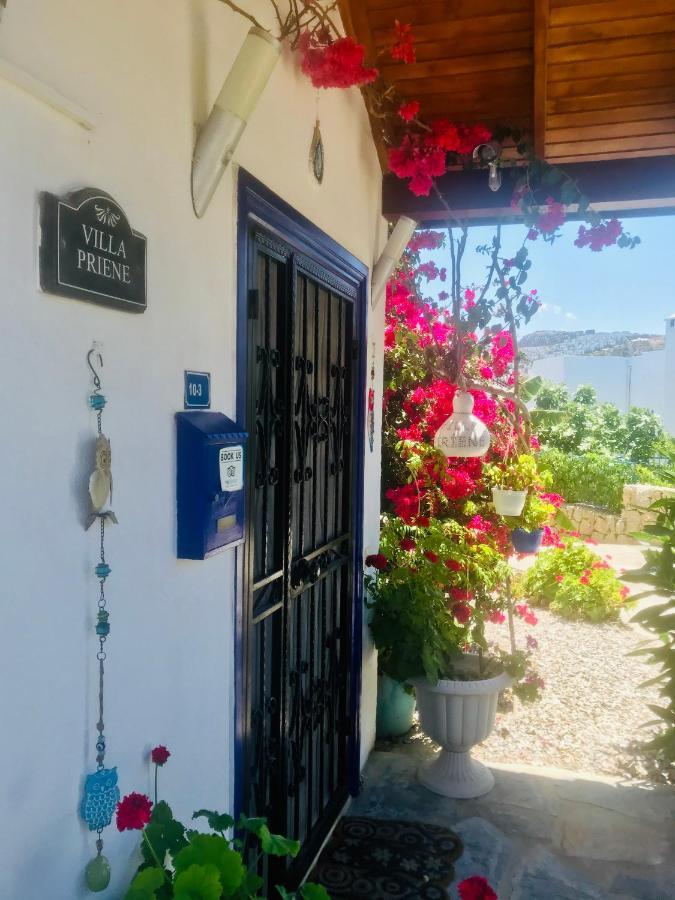 Villa Priene - Gumusluk Private Pool Kültér fotó
