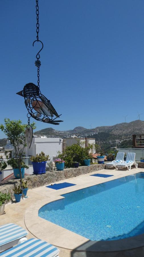 Villa Priene - Gumusluk Private Pool Kültér fotó