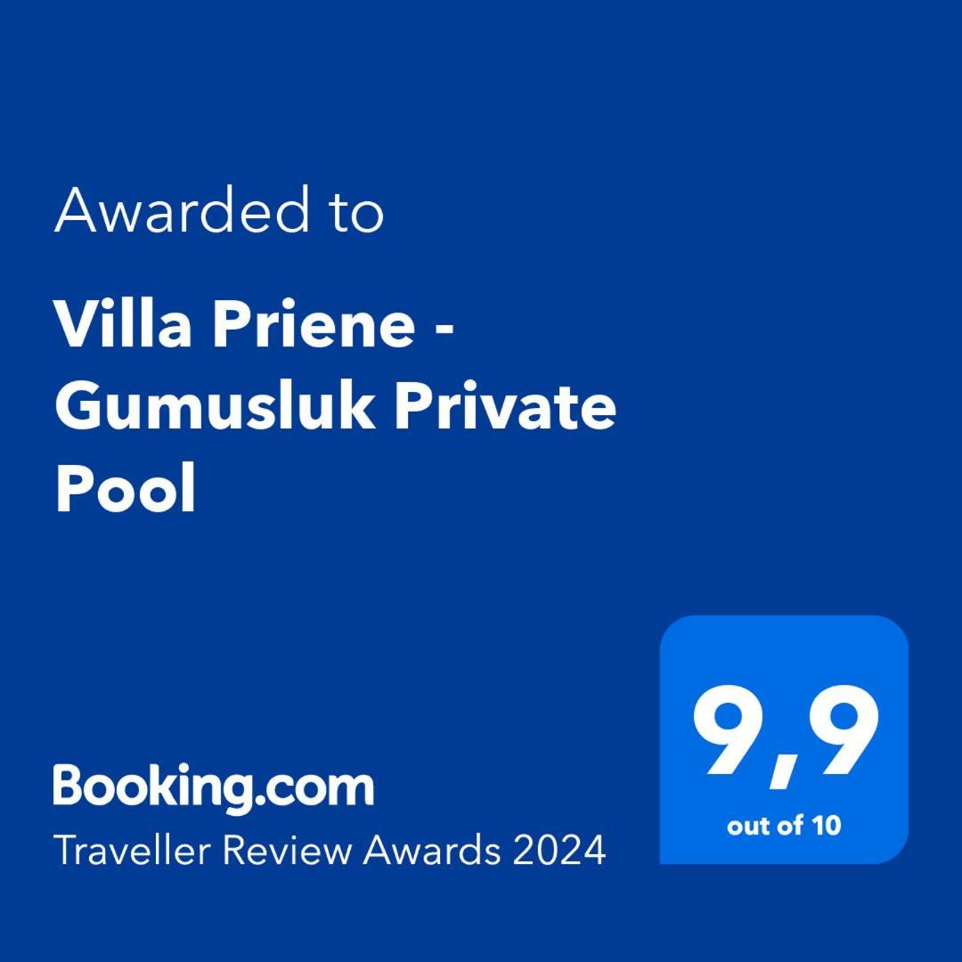 Villa Priene - Gumusluk Private Pool Kültér fotó